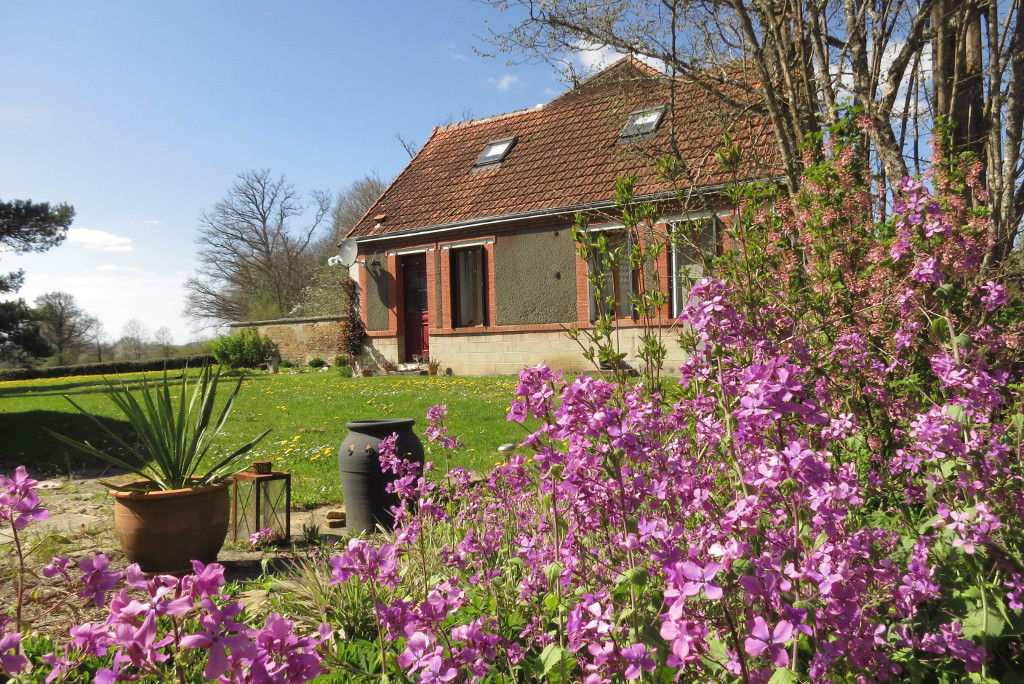 Les deux tulipes - jardin