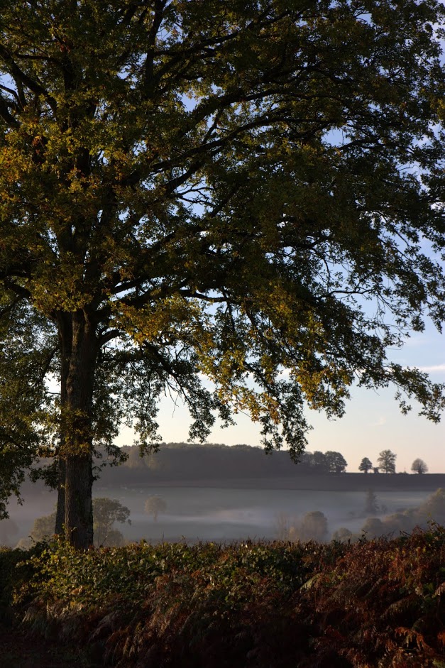 Journal DECLIC - Automne 2018