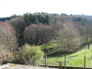 caillaud_7
